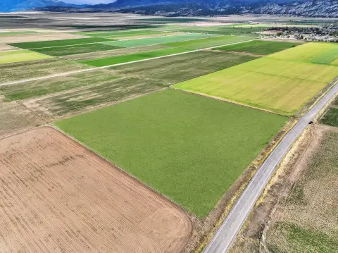 10 Acres of Farmland