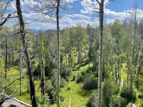 Patented Mining Claim with Forest Borders