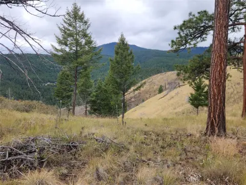 Hunting Land with BLM Border