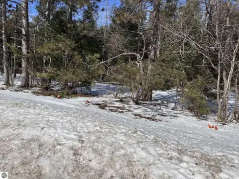 2.5 Acre Lot in Interlochen