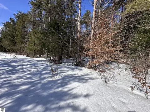 2.5 Acre Lot in Interlochen