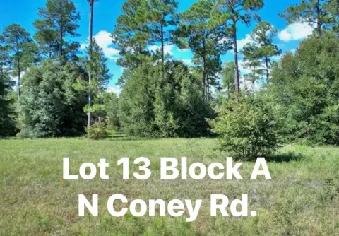 Residential Lot Near Lake Blackshear
