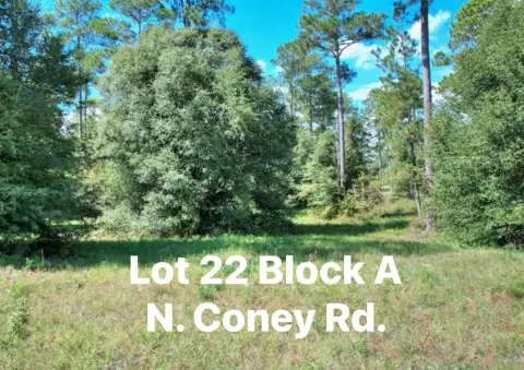 Residential Lot Near Lake Blackshear