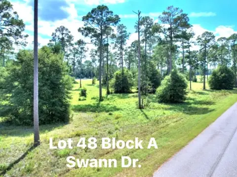 Residential Lot Near Lake Blackshear