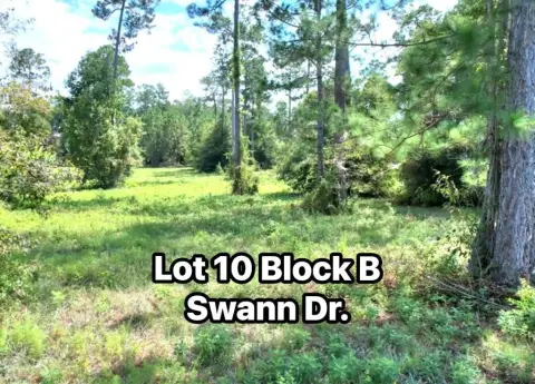 Residential Lot Near Lake Blackshear