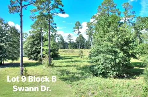 Residential Lot Near Lake Blackshear