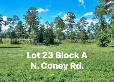 Residential Lot in Lake Blackshear