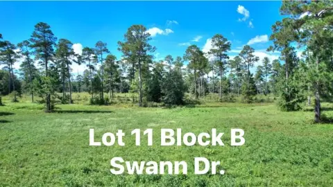 Residential Lot in Lake Blackshear