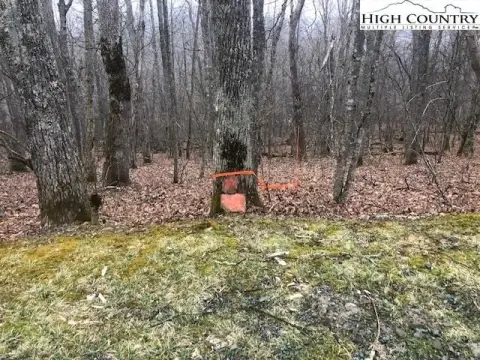 2.70 Acre Building Tract