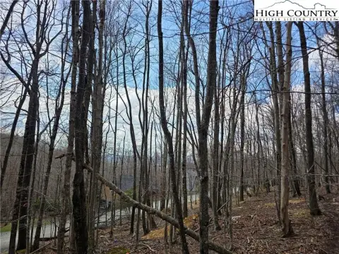 Beech Mountain Lot with Views