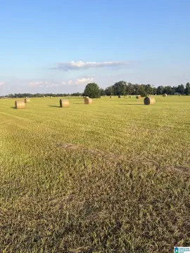 Two-Road Frontage Agricultural Land