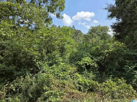 Residential Lot in Sylacauga