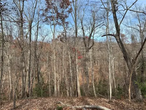 Recreation Land with Mountain Views