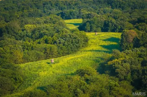 Hunting Land with Timber