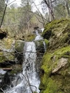 Secluded Land with Waterfall View