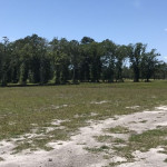 I-65 & I-10 Commercial Land