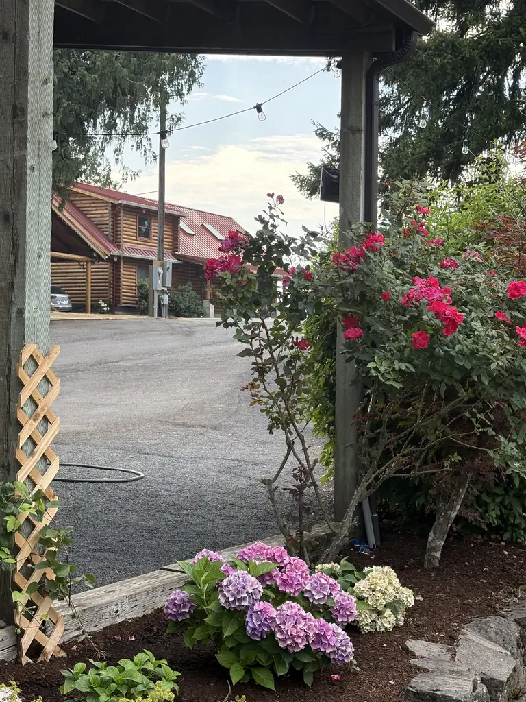Picture 20