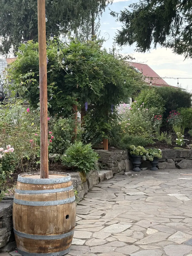 Picture 21