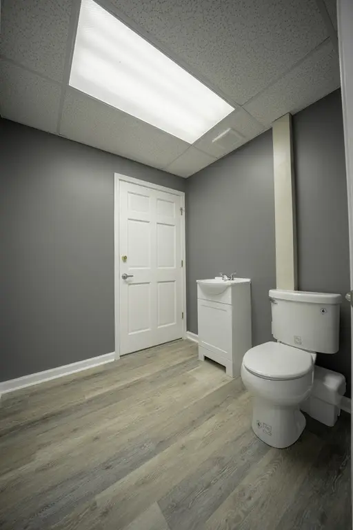 Picture 16