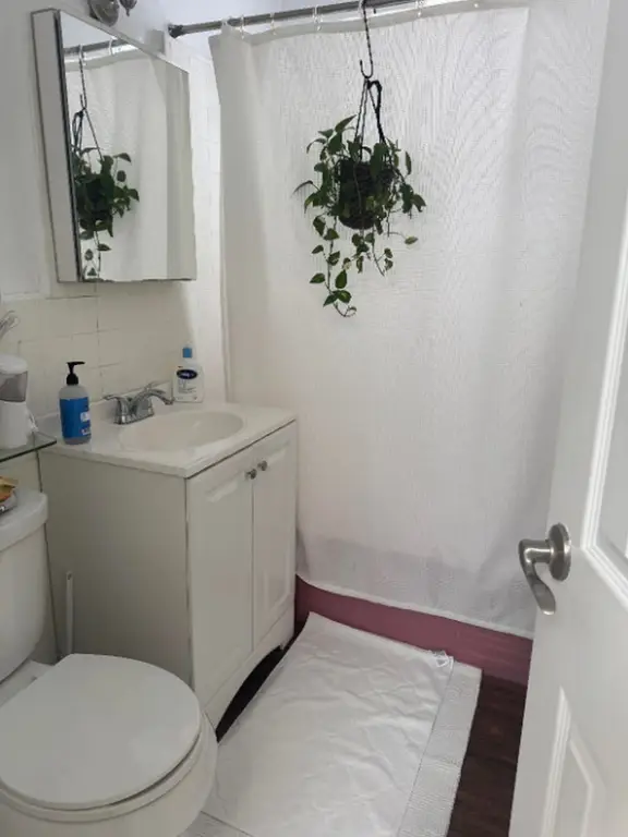 Picture 21