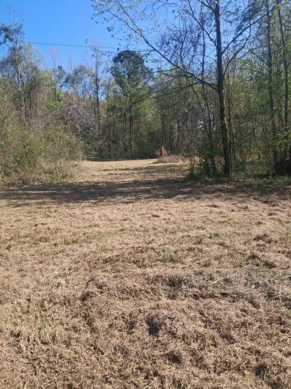 Picture 11