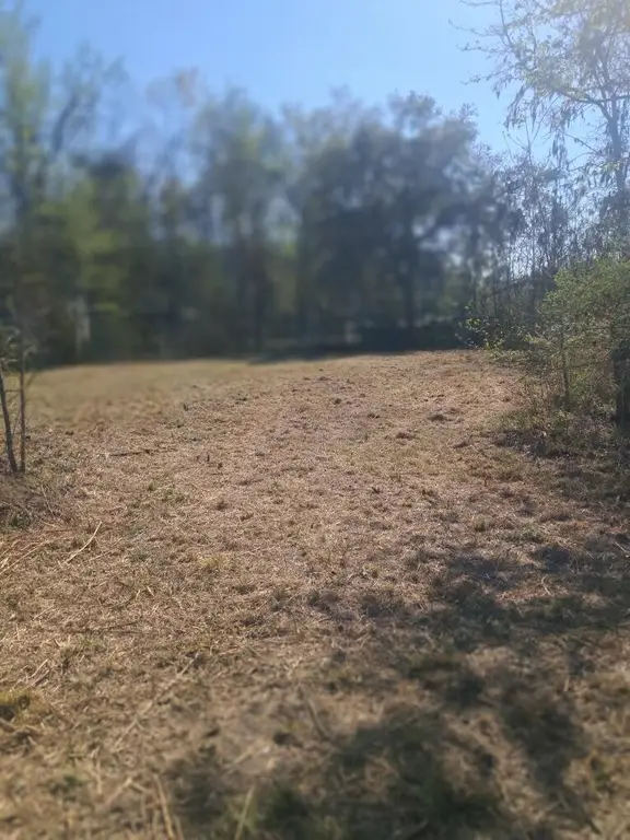 Picture 13