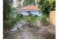 Picture 31