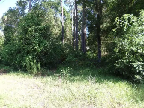 Land - DUNNELLON, FL