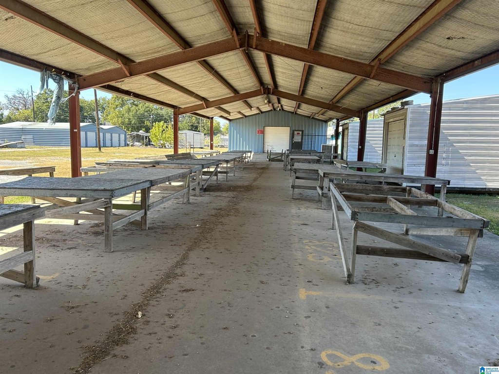 Picture 46