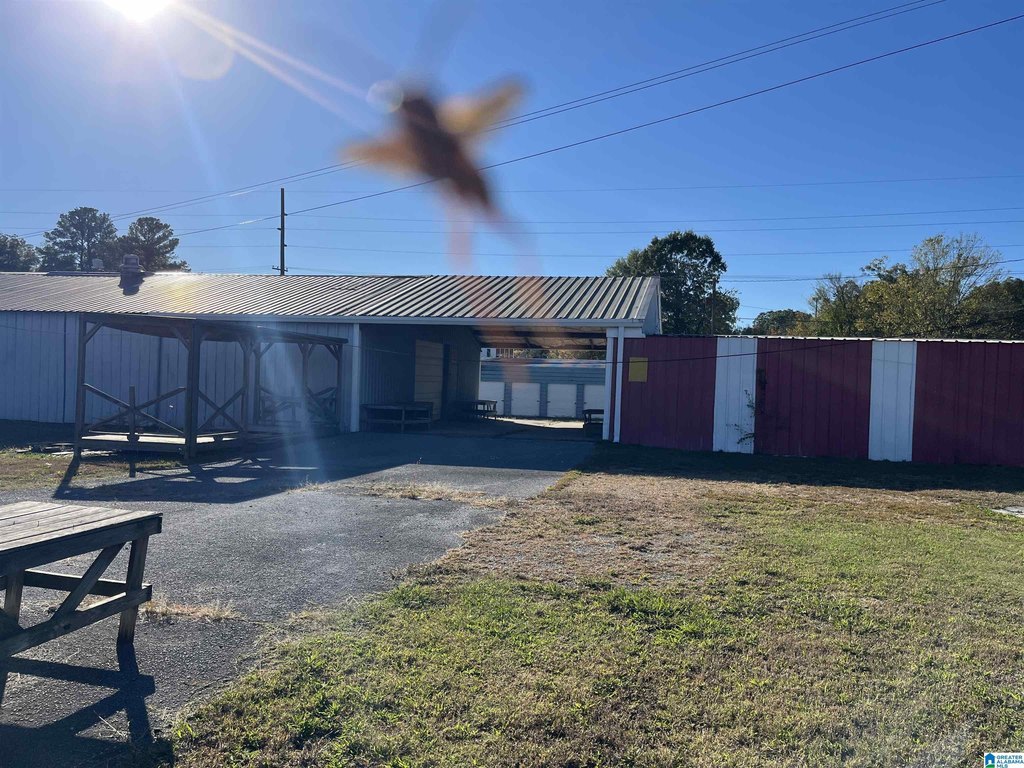 Picture 25