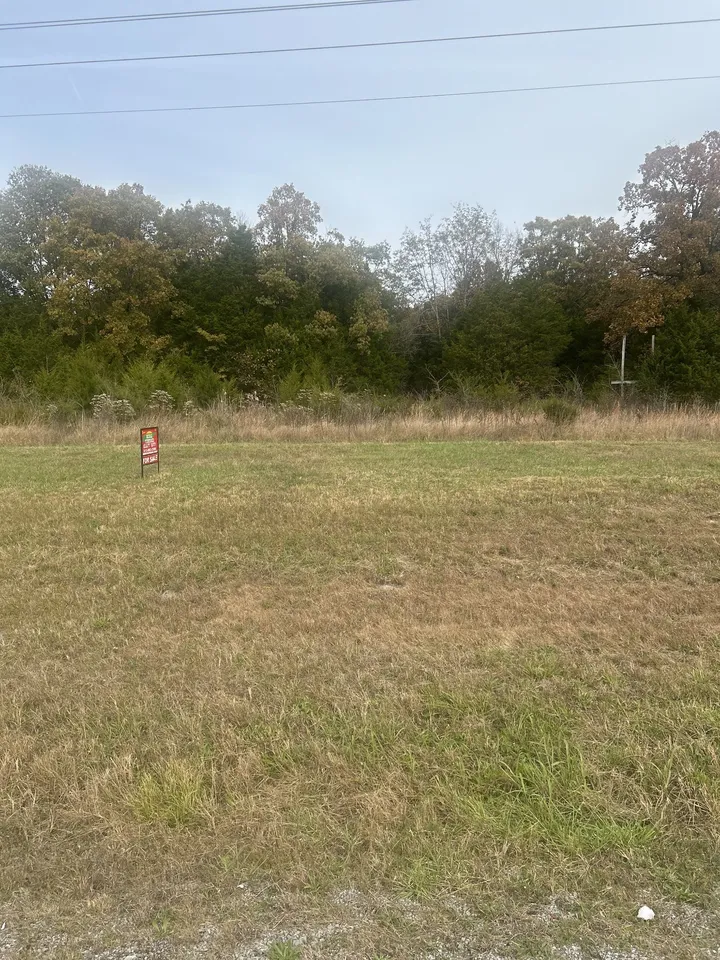 Picture 3