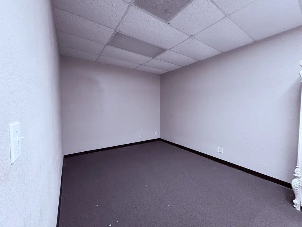Picture 5