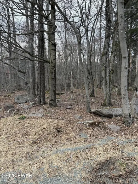 Picture 10