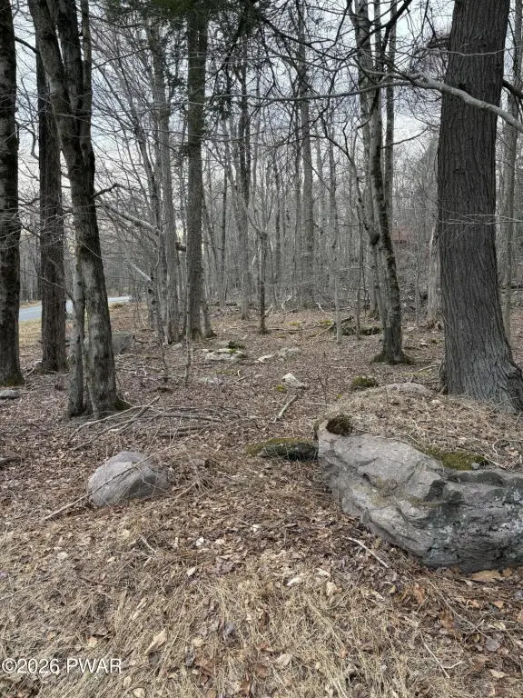 Picture 13