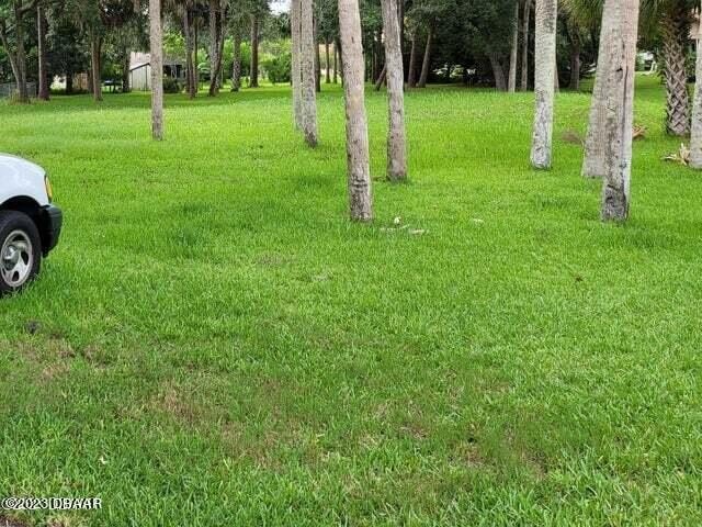 Picture 9