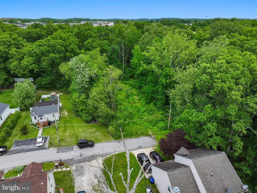 Picture 22