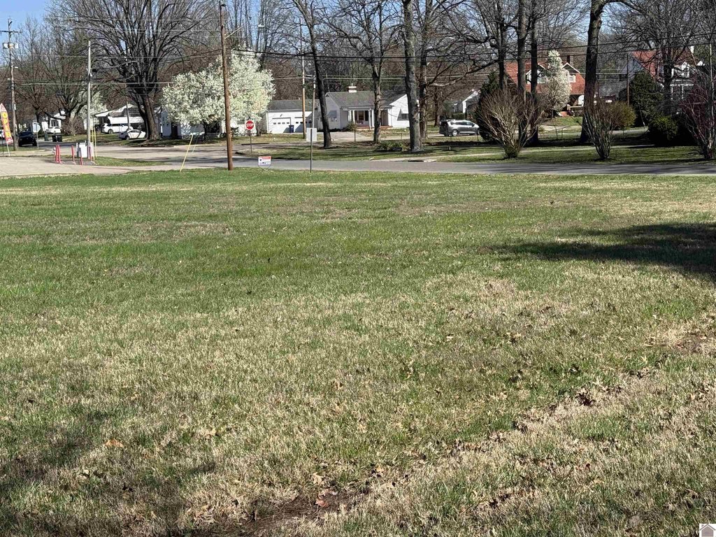 Picture 12