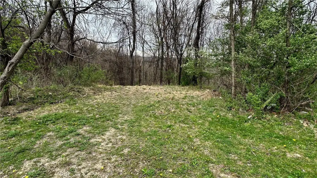 Picture 30