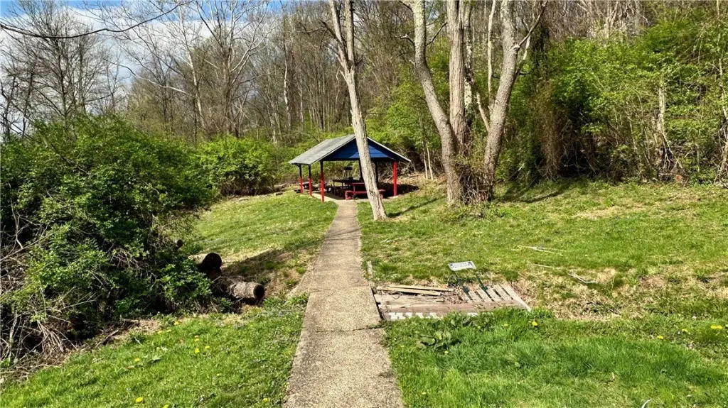 Picture 5
