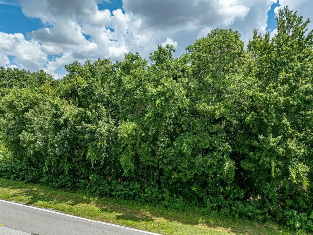 Picture 22
