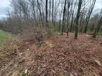 PA-739, Dingmans Ferry, PA 18328