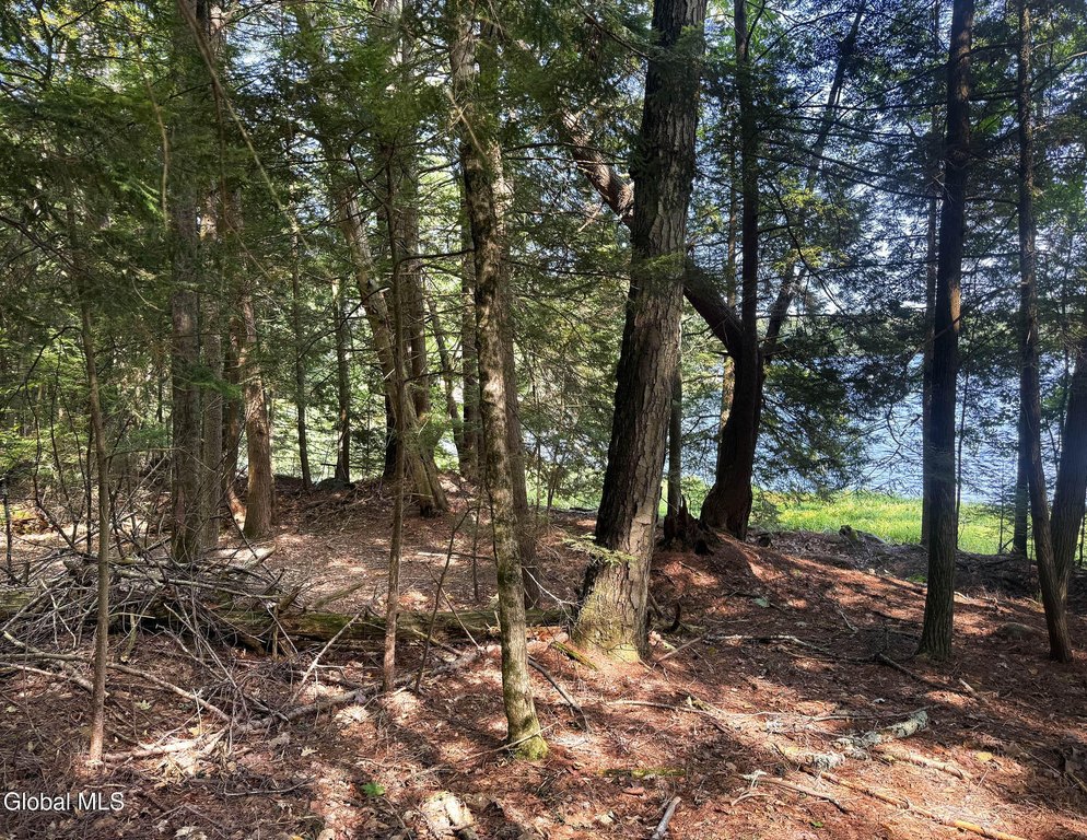 Picture 29