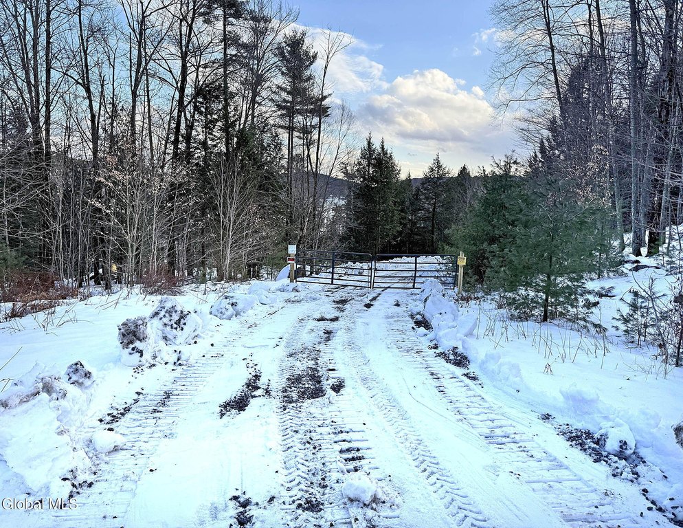 Picture 41