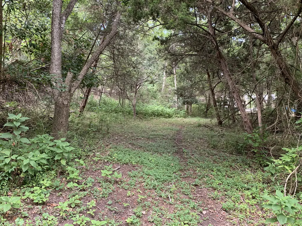 Picture 22