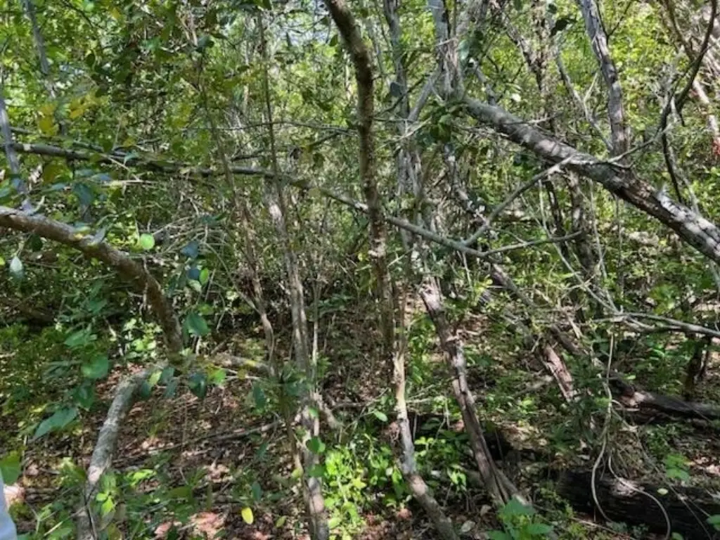 Picture 6