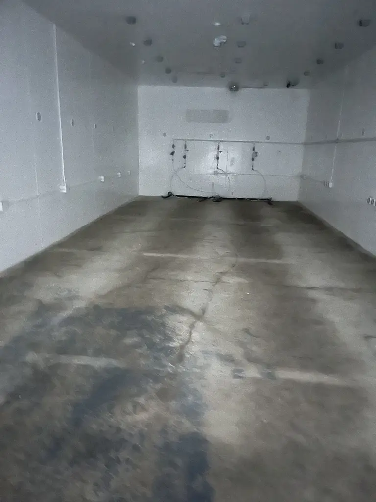 Picture 5