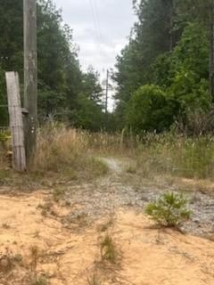 Picture 27