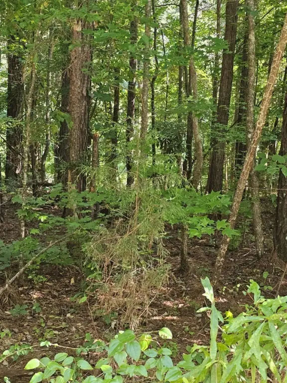 Picture 17