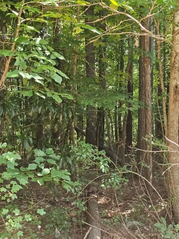 Picture 18