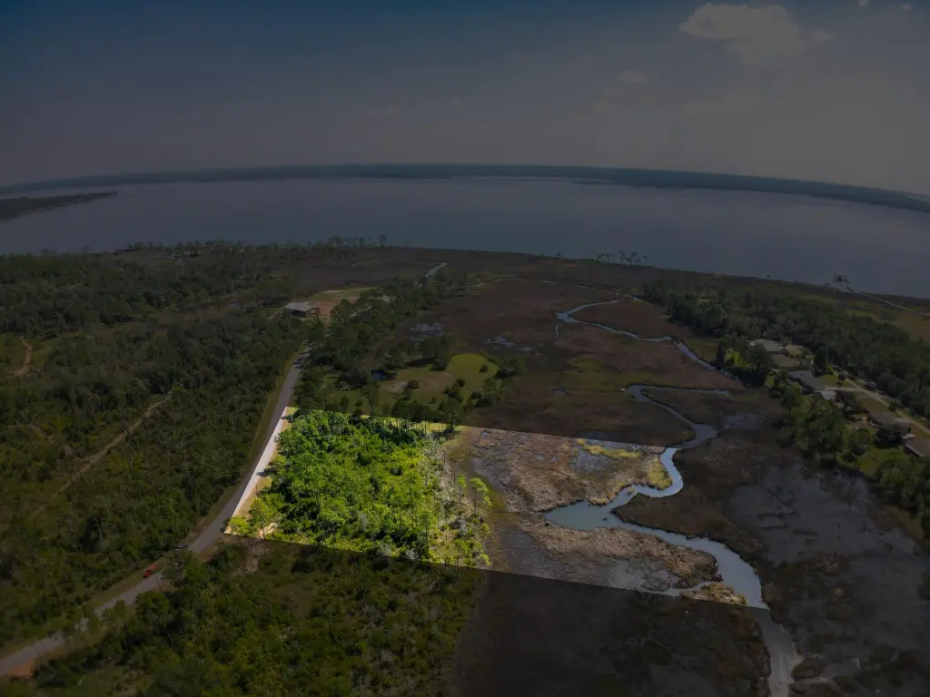 Picture 11